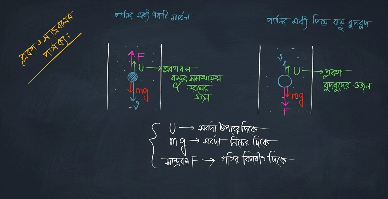 প্লবতা ও সান্দ্রবলের চিত্র